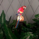 Садовый фонарь SOLAR PARROT на солнечной батарее Попугай